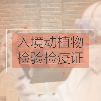 动植物检疫许可证，进口食品商必备资质