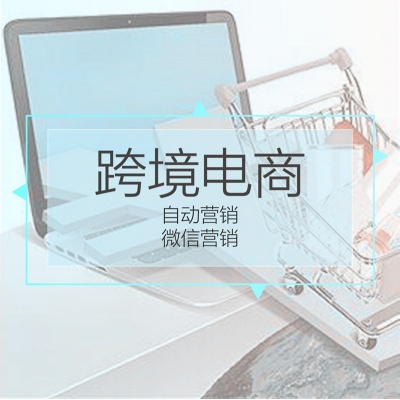 跨境电商，进口电商接入电子口岸