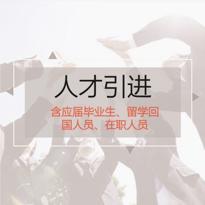 人才引进